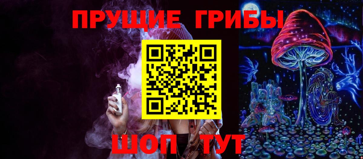 Галлюциногенные грибы Psilocybine cubensis  Вход с VPN  Сухой Лог 
