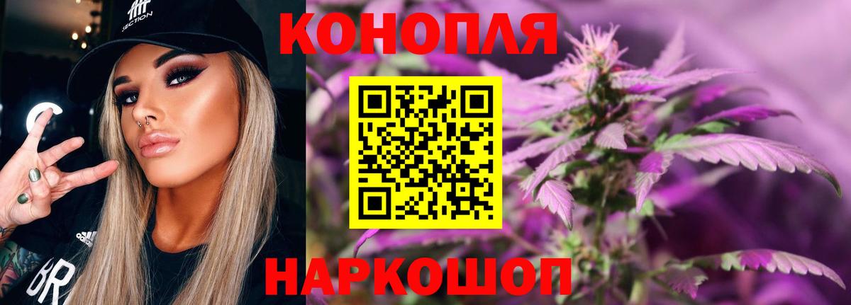 Бошки марихуана OG Kush Сухой Лог